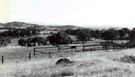 L10203 Black Springs Landscape