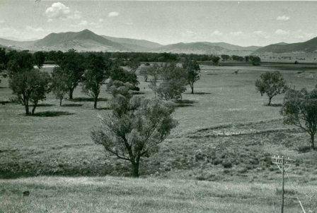 L10220 Mitta Mitta Valley