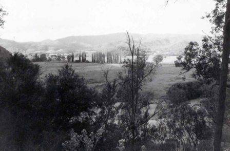 L10220 Mitta Mitta Valley