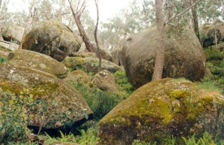 L10221 Mt Buffalo