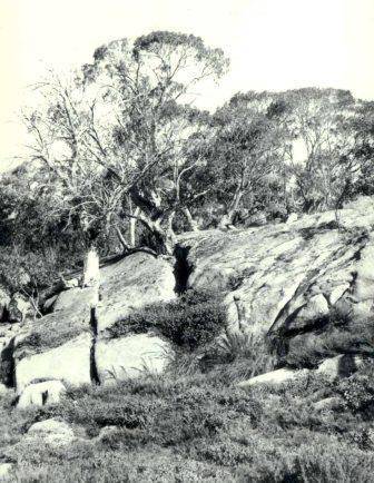 L10221 Mt Buffalo