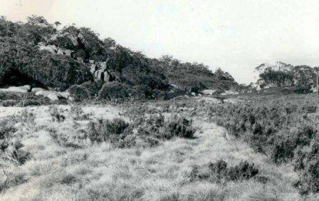L10221 Mt Buffalo