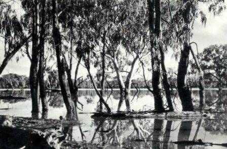 L10225 Murray Billabong