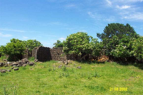 23288 Albert Homestead complex woolshed 1868