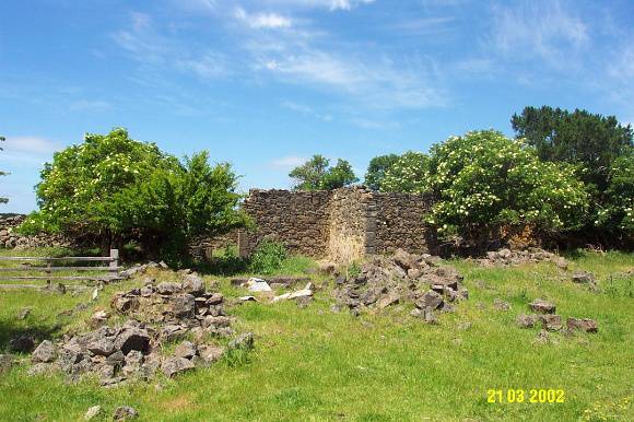 23288 Albert Homestead complex woolshed 1869