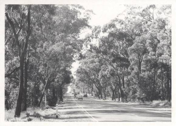 Hume Highway