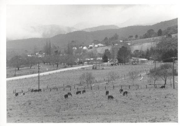 Wandiligong Valley