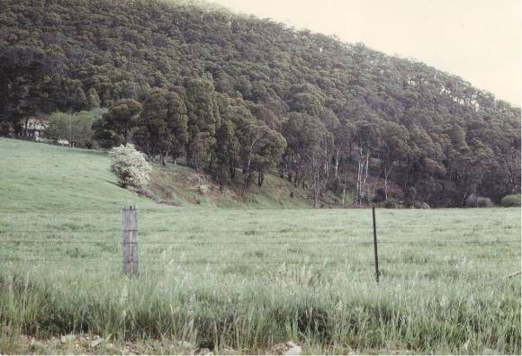 Wandiligong Valley