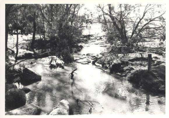 Woolshed Creek