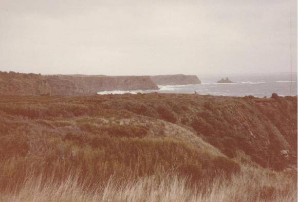 Bunurong Coastline