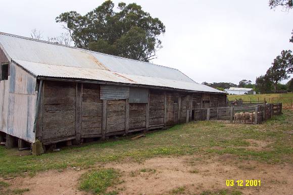 23173 Belle Vue woolshed 0251