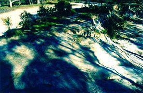 Wilson's Hill Mines & Cyanide Works