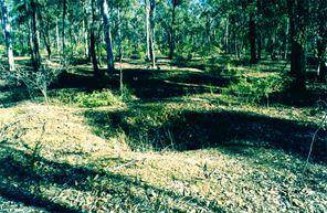 Christoff Reef Mines