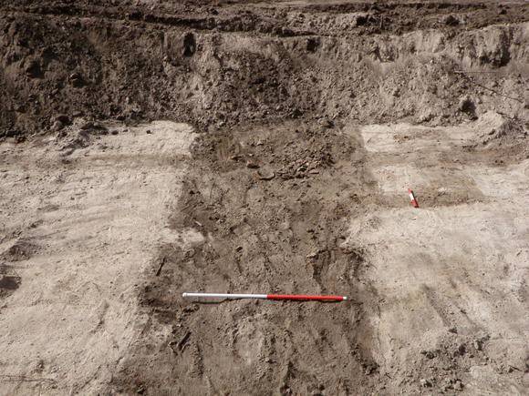 Photos of artefacts, 