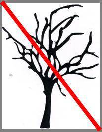  T12111 Tree removed 26/05/2015
