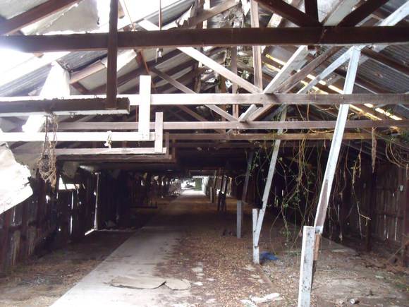 Donaghys Rope Walk 1