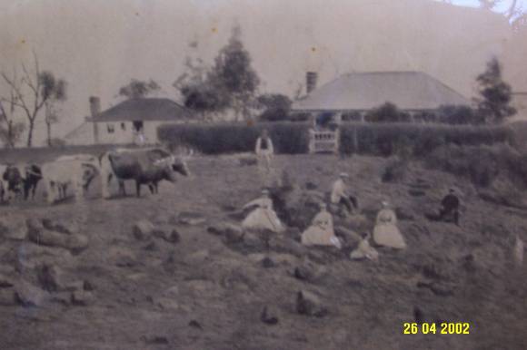 23429 Cheviot Hills Penshurst 1st   2nd homestead 0829