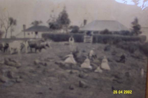 23429 Cheviot Hills Penshurst 1st   2nd homestead 0830