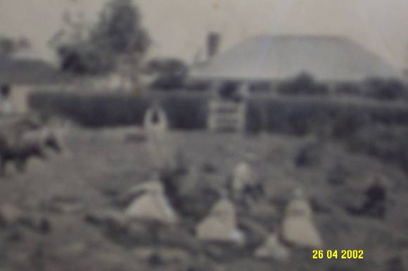 23429 Cheviot Hills Penshurst 1st   2nd homestead 0831