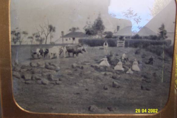 23429 Cheviot Hills Penshurst 1st   2nd homestead 0832
