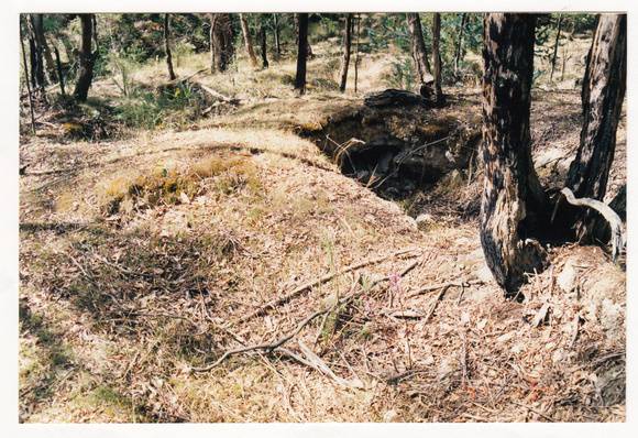 Alluvial Gold Mining Remains end Blue House Rd Colour 2 - Shire of Eltham Heritage Study 1992