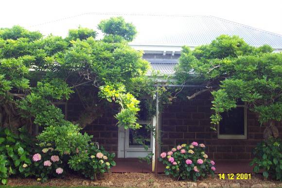 23196 Clifton Homestead original house 0326