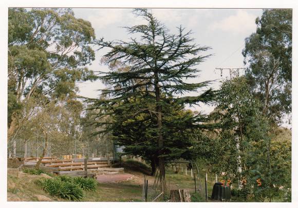 Strathewen Primary School Colour 6 - Shire of Eltham Heritage Study 1992