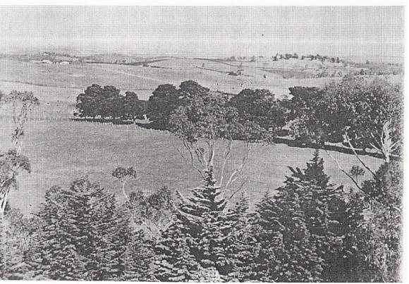 War Memorial and Components Eltham Yarra Gl Rd Black & White 1 - Shire of Eltham Heritage Study 1992