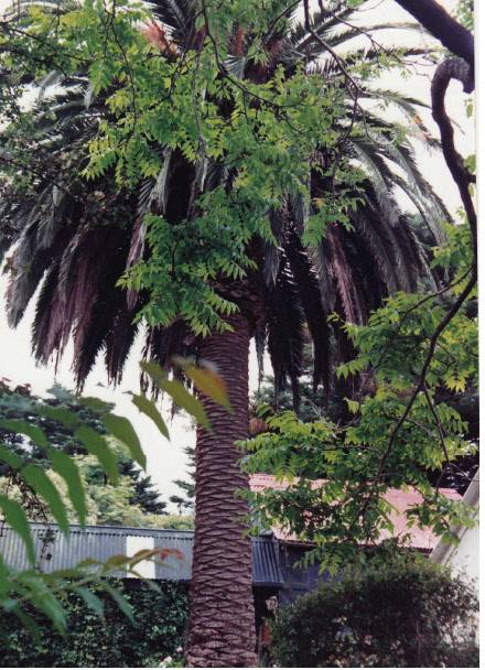 Garden Hill Shearing Shed Elth Yarra Glen Rd Colour 8 - Shire of Eltham Heritage Study 1992