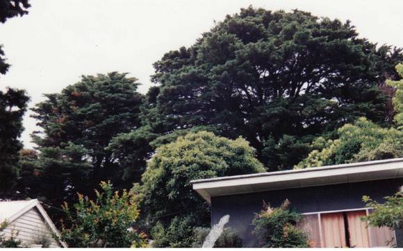 Garden Hill Shearing Shed Elth Yarra Glen Rd Colour 9 - Shire of Eltham Heritage Study 1992