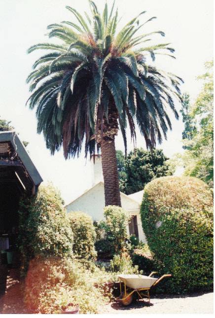 Garden Hill Shearing Shed Elth Yarra Glen Rd Colour 10 - Shire of Eltham Heritage Study 1992