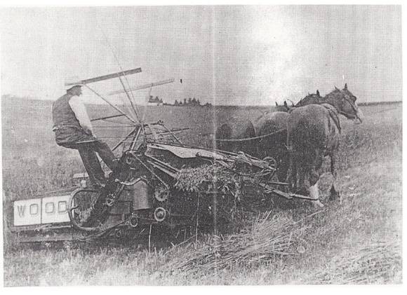 Garden Hill Shearing Shed Elth Yarra Glen Rd Black & White 1 - Shire of Eltham Heritage Study 1992