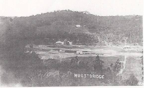 Railways Residence Palm Cypress Trees Hurstbridge Black & White - Shire of Eltham Heritage Study 1992