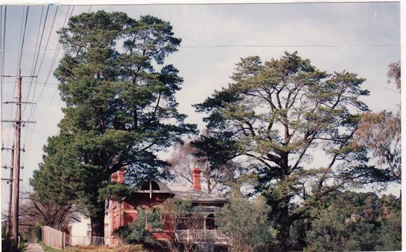 State School 209 Residence Pines 690 Main Rd Colour 4 - Shire of Eltham Heritage Study 1992