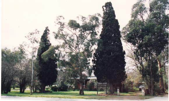 Wingrove Cottage Pines 672 674 Main Rd Colour 2 - Shire of Eltham Heritage Study 1992