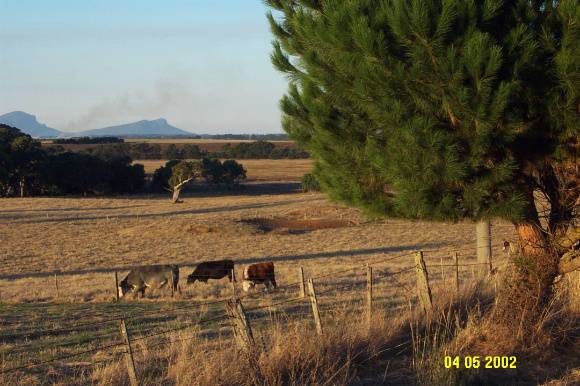23312 Correagh view to Grampians 0912