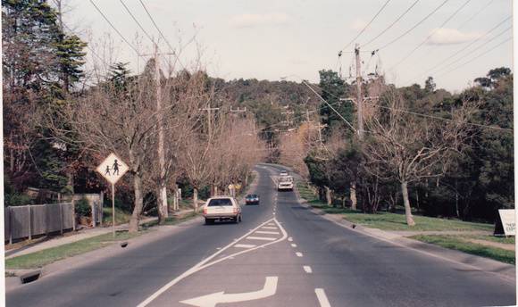 Plane Tree Ave of Honour Main Rd Eltham Colour 2 - Shire of Eltham Heritage Study 1992