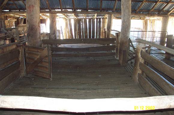 23434 Glendinning Homestead Balmoral woolshed 2142