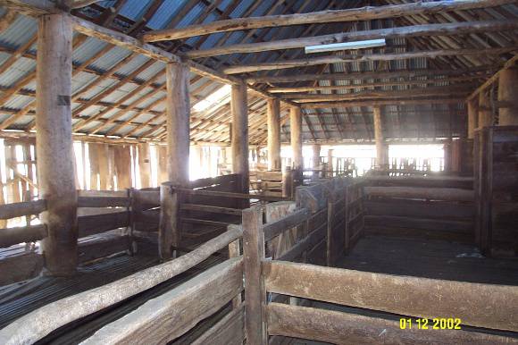 23434 Glendinning Homestead Balmoral woolshed 2143
