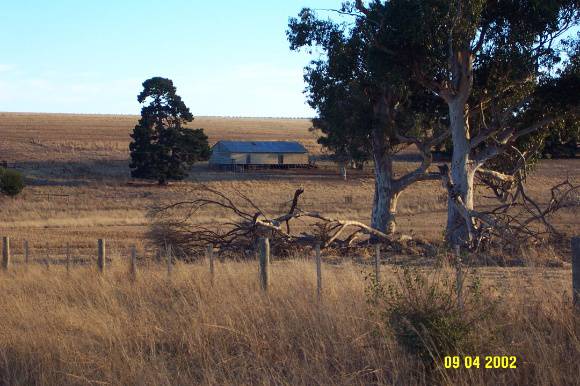 23305 Glenlogie ruins of house Branxholme 0747