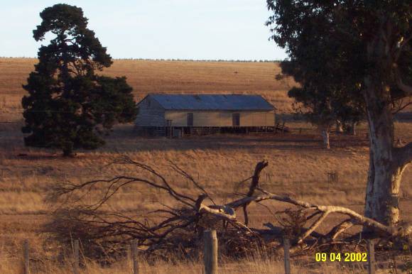 23305 Glenlogie ruins of house Branxholme 0748