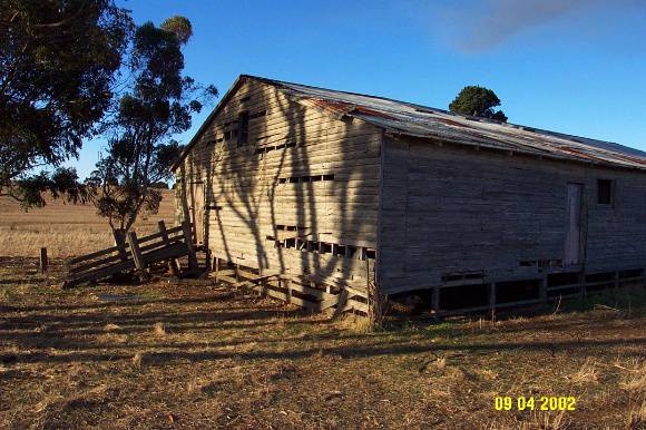 23305 Glenlogie woolshed Branxholme 0753
