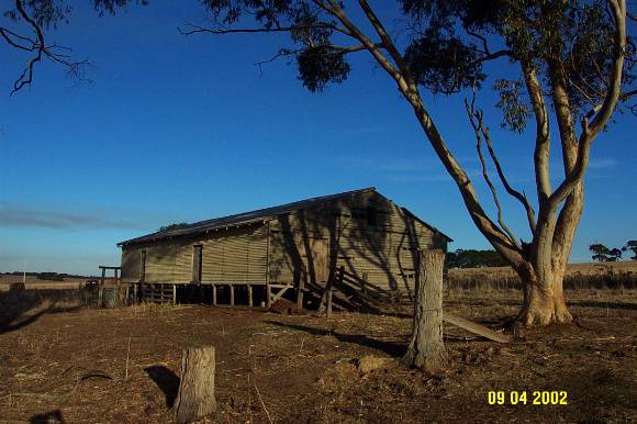 23305 Glenlogie woolshed Branxholme 0755