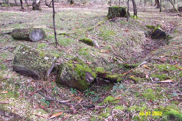 23411 Green Creek Sawmill Mirranatwa 1145