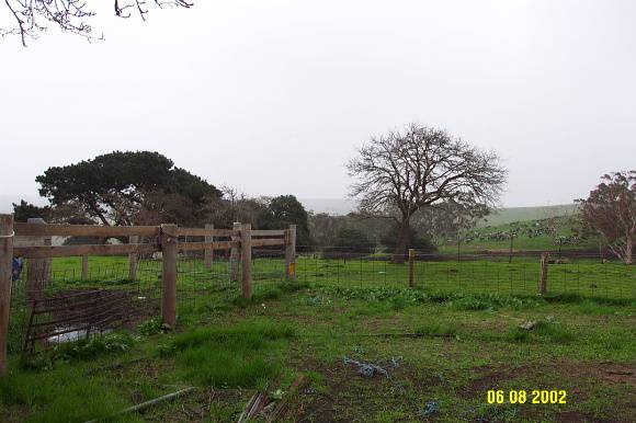 23113 Hilgay Coleraine view east 1256