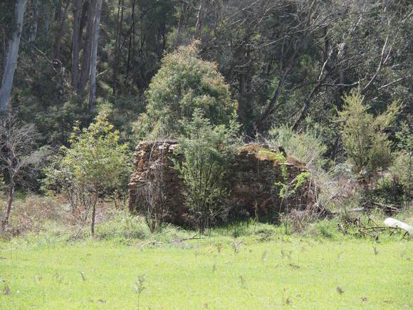 H0070 LYREBIRD GULLY HOP KILN LHA 2015 1.JPG