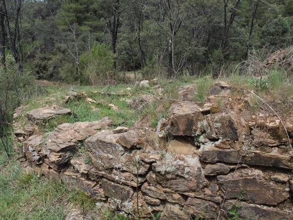 H0070 LYREBIRD GULLY HOP KILN LHA 2015 4.JPG