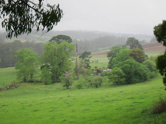 H0611 SILVERWELLS LHA 2015 1.JPG