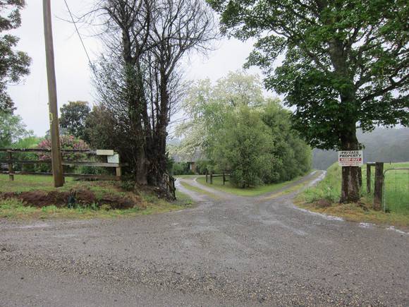 H0611 SILVERWELLS LHA 2015 4.JPG