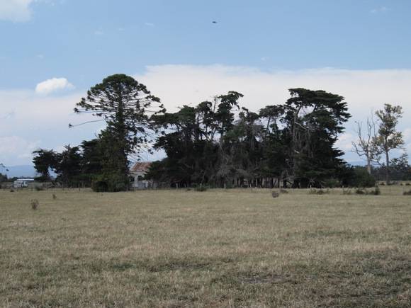 H0452 MONOMEITH HOMESTEAD LHA 2015 7.JPG